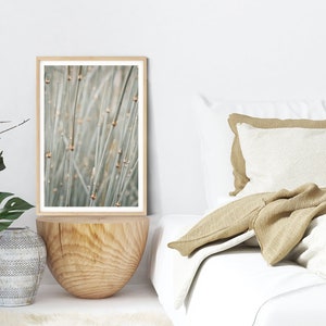 Botanical Photography Art -  Sage Green Bamboo Picture, Bohemian Wall Decor, Vertical Abstract Prints & Canvas Artwork