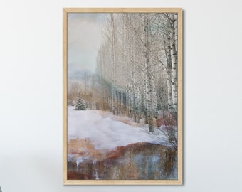 Winter Landscape Wall Art - Aspen Birch Tree Prints or Gallery Canvas