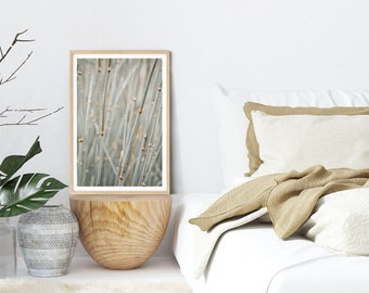 Botanical Photography Art -  Sage Green Bamboo Picture, Bohemian Wall Decor, Vertical Abstract Prints & Canvas Artwork