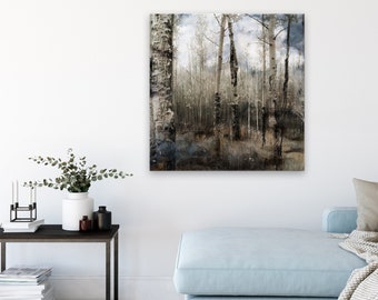 Aspen Tree Wall Art - Modern Country Landscape, Birch Trees,  Square Print or Gallery Canvas | Shadows