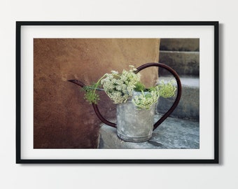 Queen Anne's Lace Photograph - Rustic Farmhouse Art, French Country Floral Decor, Wildflower Botanical Prints or Canvas