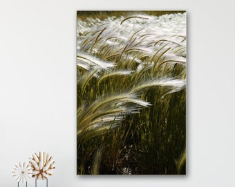 Tranquil Wall Art - Blades of Grass, Nature Photography, Zen Decor, Green & White Prints or Canvas Artwork