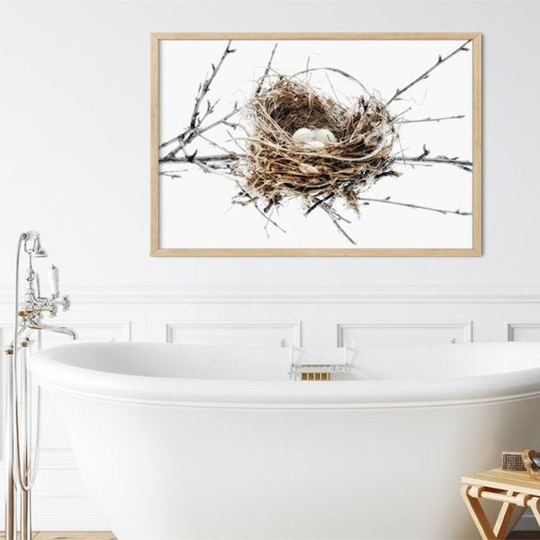 Nature Wall Art - Bird Nest With Eggs, Rustic Modern Farmhouse Photography Prints & Canvas Artwork