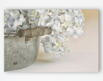 Hydrangea Wall Art - Blue Flowers, French Country Farmhouse Decor, Prints or Canvas Artwork