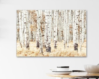 Aspen Photography - White Birch Wall Art, Gold Fall Decor, Nature Photo, Wilderness Art Print, Autumn Landscape 'Golden Silence'