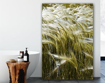 Zen Wall Decor - Grass Photography, Colorado Art, Botanical Prints or Canvas Artwork