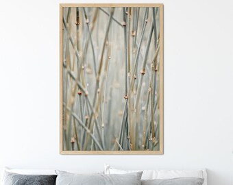 Sage Green Botanical Wall Art - Boho Decor, Bamboo Plant Photography, Vertical Nature Prints & Canvas Artwork