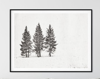 Tree Landscape Wall Art - Winter Trees, Neutral Colors, Rustic Farmhouse Decor, Prints or Canvas Artwork