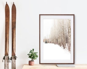 Winter Tree Print -  Aspen Trees, Colorado Snow Landscape, Vertical Wall Art Prints & Canvas 'The Lone Pine'