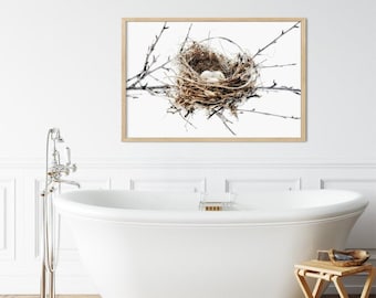 Nature Wall Art - Bird Nest With Eggs, Rustic Modern Farmhouse Photography Prints & Canvas Artwork