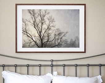 Nature Wall Decor -  Winter Tree Landscape Art Print or Canvas Artwork