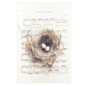 Twins Room Wall Decor - Bird Nest with Eggs Art Print or Canvas, Nursery Artwork