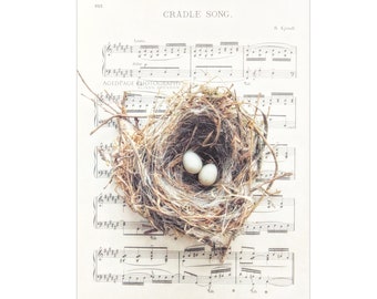 Twins Room Wall Decor - Bird Nest with Eggs Art Print or Canvas, Nursery Artwork