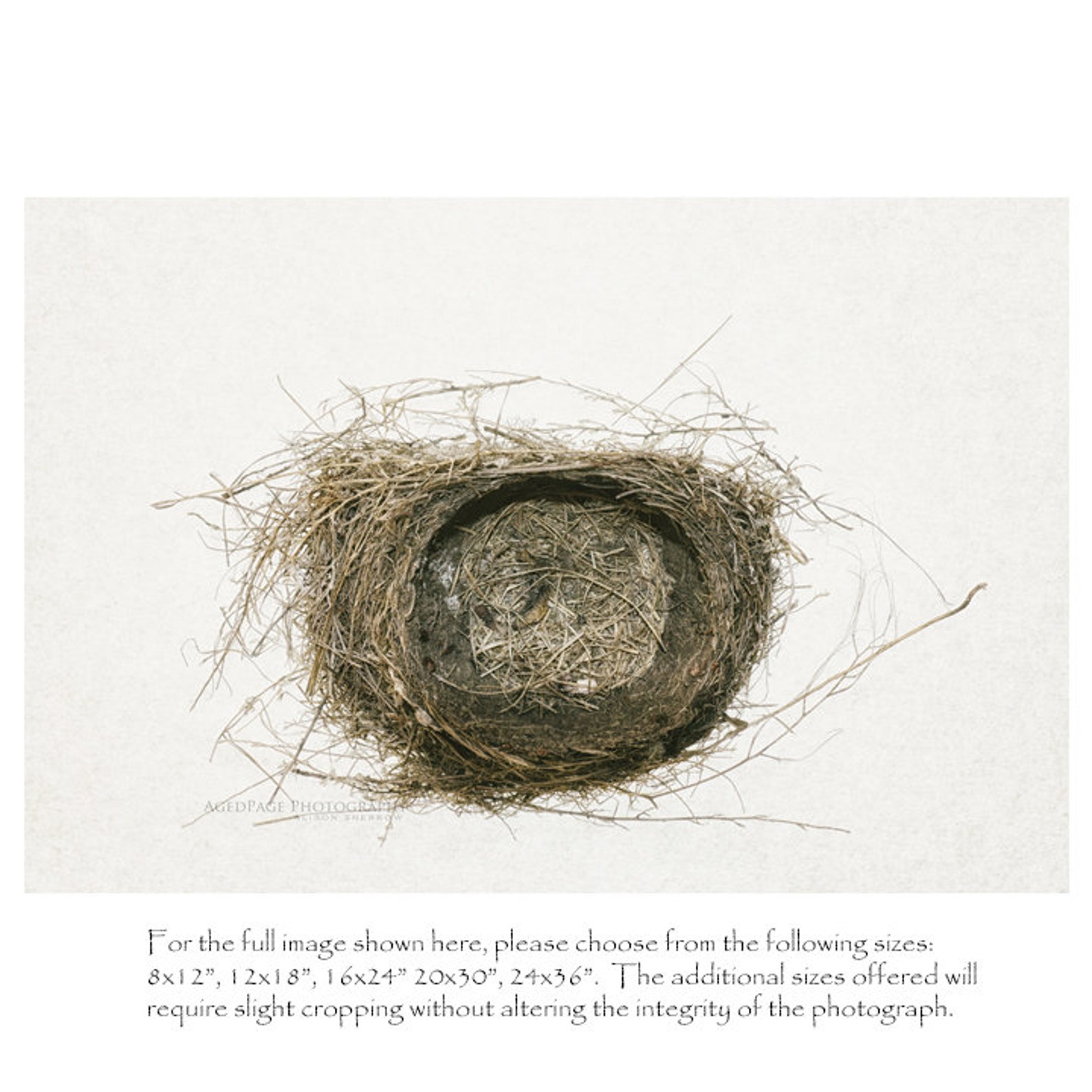 Bird Nest Wall Art Simple Farmhouse Wall Decor Neutral Etsy