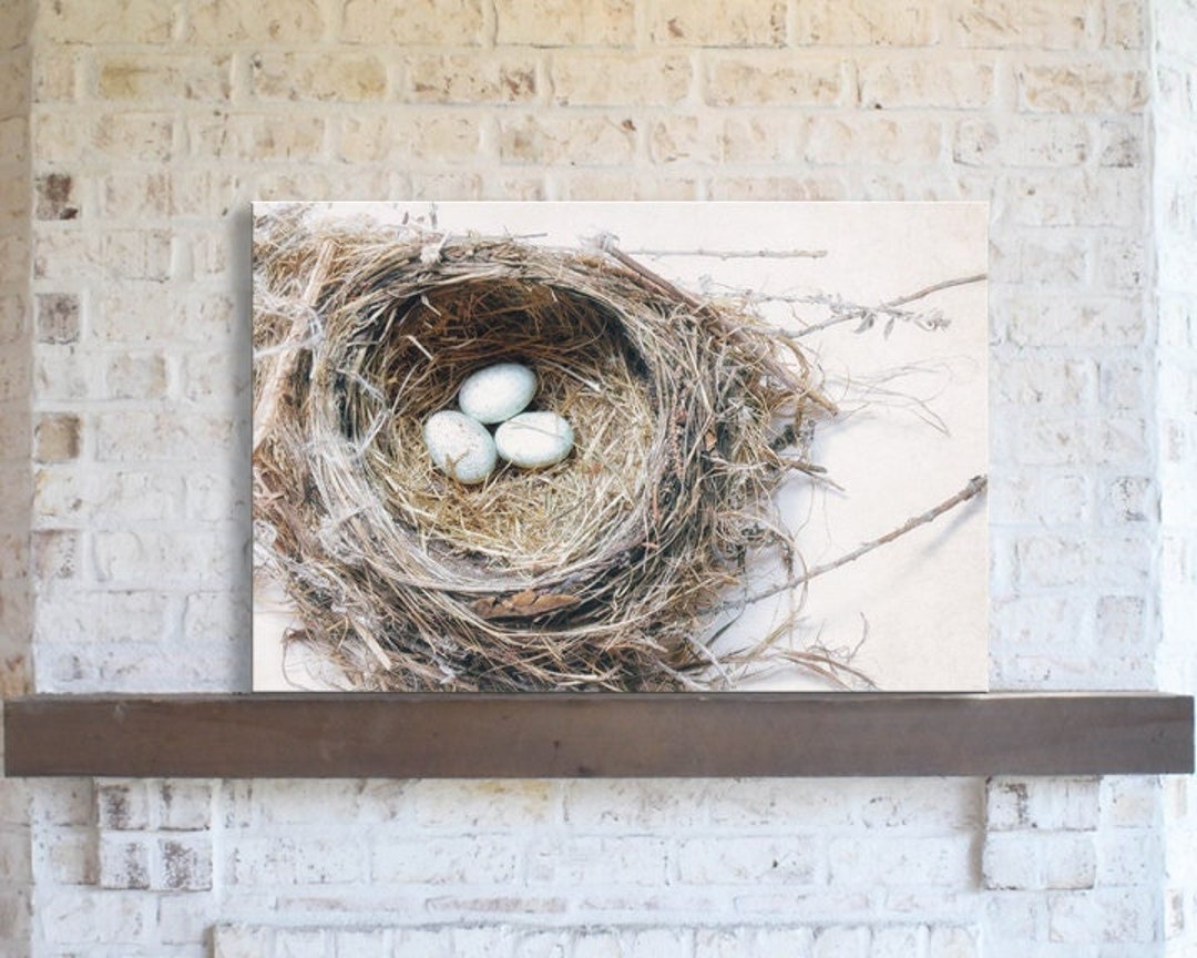 Bird Nest Canvas Art Farmhouse Chic Entryway Bedroom Wall Etsy