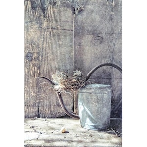 Bird Nest Wall Art - Modern Rustic Farmhouse Style, Spring Decor Print or Canvas Artwork