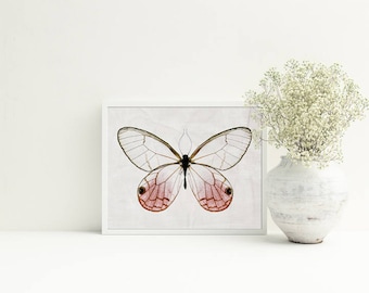 Pink Butterfly Wall Art - Nature Photography, Shabby Chic Farmhouse Nursery Decor