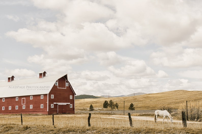 Horse & Barn Wall Art Colorado Ranch Landscape, Prints or Canvas Artwork Print (Unframed)