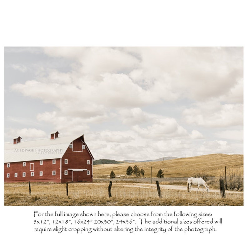 Horse & Barn Wall Art Colorado Ranch Landscape, Prints or Canvas Artwork image 3
