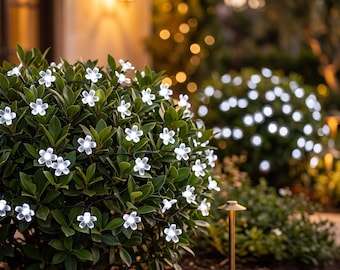 Luzes solares de cerejeira em formato de flor, luzes de fada Sakura à prova d'água para exterior, decoração de jardim em branco quente