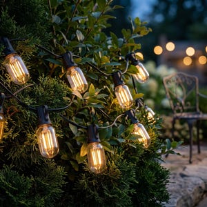 Pode incluir: Uma corrente de luzes LED para exterior com lâmpadas cilíndricas de vidro transparente e filamentos verticais visíveis. As lâmpadas estão presas a um fio preto e emitem um brilho dourado quente sobre um arbusto verde denso.