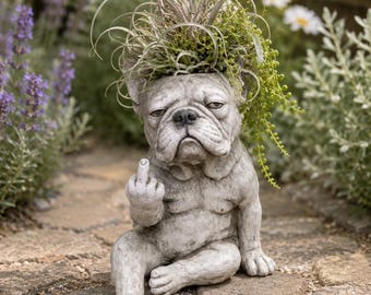 不機嫌そうなフレンチブルドッグの植木鉢、中指を立てた犬の多肉植物ホルダー、風変わりなフレンチブルドッグの装飾