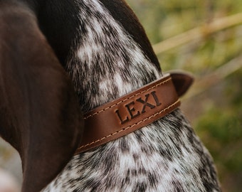 Personalized Leather Dog Collar - dog collar leather dog collar personalized personalized dog rustic puppy collar cat collar dog collar