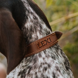 Personalized Leather Dog Collar dog collar leather dog collar personalized personalized dog rustic puppy collar cat collar dog collar image 1