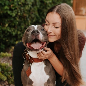 Genuine Leather Dog Collar Personalized | Made in the USA | Multiple Sizes - Lifetime Leather