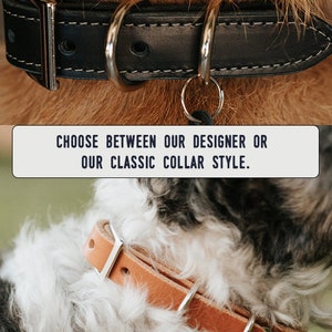 Personalized Leather Dog Collar dog collar leather dog collar personalized personalized dog rustic puppy collar cat collar dog collar DESIGNER - Ox Black