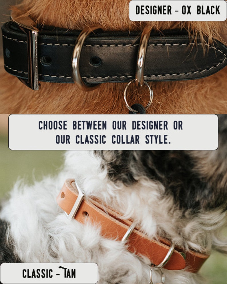 Personalized Leather Dog Collar dog collar leather dog collar personalized personalized dog rustic puppy collar cat collar dog collar DESIGNER - Ox Black