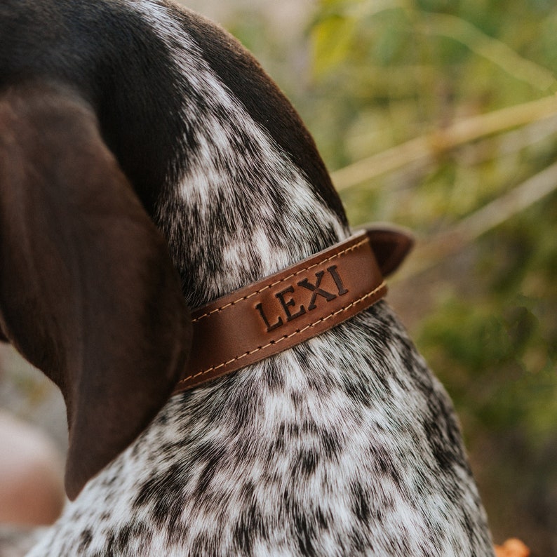 Personalized Leather Dog Collar dog collar leather dog collar personalized personalized dog rustic puppy collar cat collar dog collar image 1