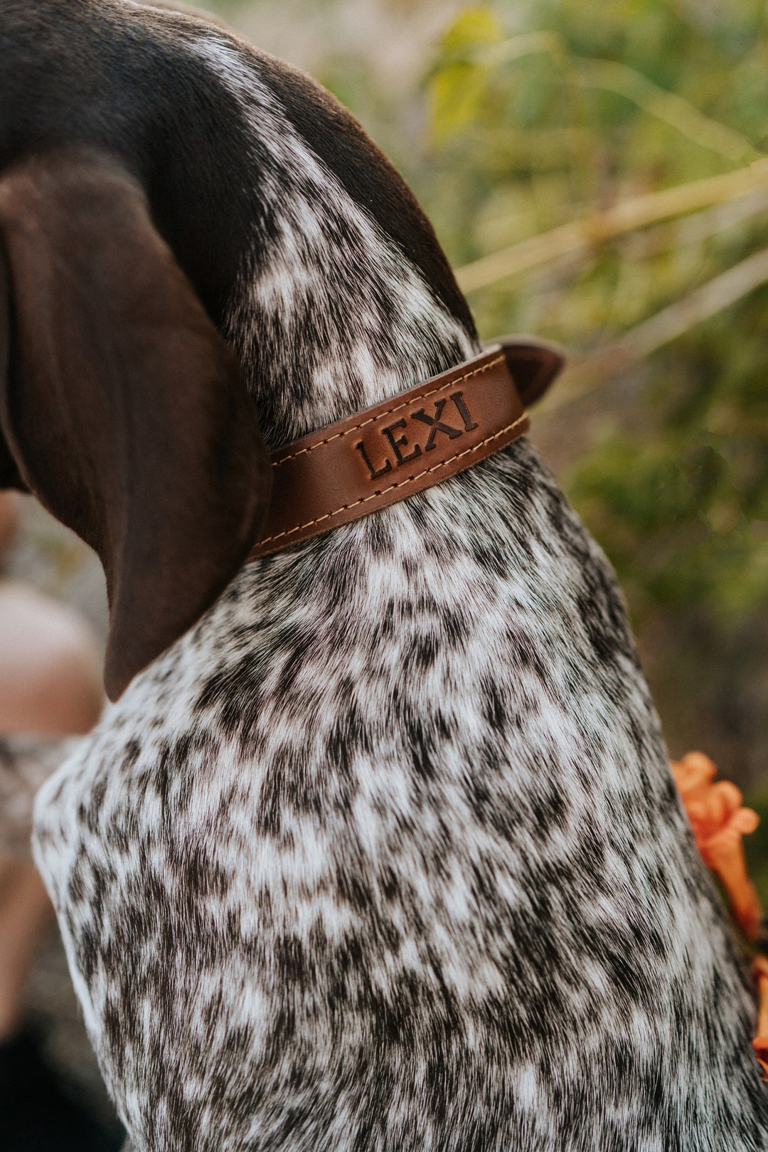 Personalized Leather Dog Collar - Dog Collar Leather Dog Collar ...