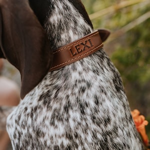 Personalized Leather Dog Collar - dog collar leather dog collar personalized personalized dog rustic puppy collar cat collar dog collar