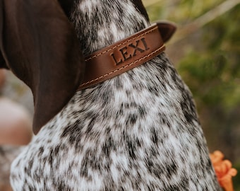 Personalized Leather Dog Collar - dog collar leather dog collar personalized personalized dog rustic puppy collar cat collar dog collar
