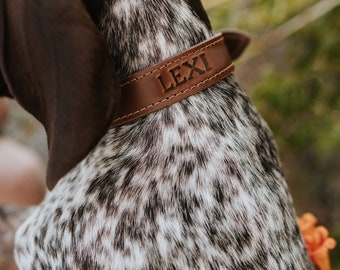 Personalized Leather Dog Collar - dog collar leather dog collar personalized personalized dog rustic puppy collar cat collar dog collar