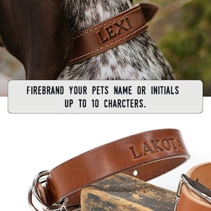 Personalized Leather Dog Collar dog collar leather dog collar personalized personalized dog rustic puppy collar cat collar dog collar image 7