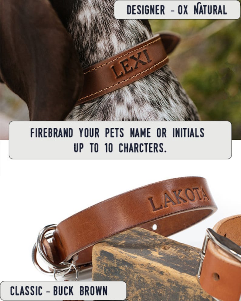 Personalized Leather Dog Collar dog collar leather dog collar personalized personalized dog rustic puppy collar cat collar dog collar image 7