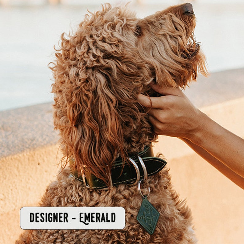 Personalized Leather Dog Collar dog collar leather dog collar personalized personalized dog rustic puppy collar cat collar dog collar DESIGNER - Emerald