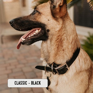 Personalized Leather Dog Collar dog collar leather dog collar personalized personalized dog rustic puppy collar cat collar dog collar CLASSIC - Black