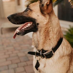 Personalized Leather Dog Collar - dog collar leather dog collar personalized personalized dog rustic puppy collar cat collar