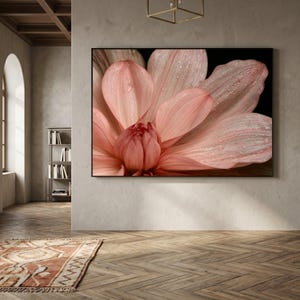 May include: A rectangular wall art print featuring a close-up of a soft pink dahlia flower with visible water droplets on its petals. The flower is set against a deep black background, highlighting the delicate texture and layered petal structure.