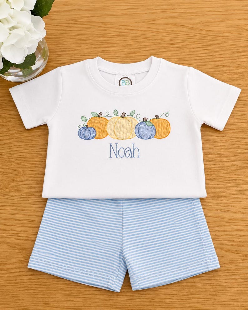 K&ouml;nnte beinhalten: Ein wei&szlig;es Kurzarm-T-Shirt mit einer Stickerei von vier K&uuml;rbissen in Orange-, Gelb- und Blaut&ouml;nen mit gr&uuml;nen Ranken sowie dem Namen Noah in blauer Schrift, kombiniert mit einer hellblau-wei&szlig; horizontal gestreiften Shorts.