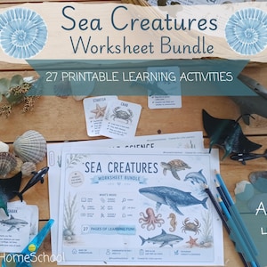 May include: A collection of educational materials for children aged 4-6, featuring a "Sea Creatures Worksheet Bundle" with 27 printable learning activities. The image includes sea creature toys, seashells, and pencils, all arranged on a wooden surface.