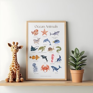Könnte beinhalten: Ein gerahmter, lehrreicher Wandkunstdruck mit dem Titel Ocean Animals, der Aquarellillustrationen verschiedener Meerestiere zeigt, darunter ein Oktopus, Seestern, Hai, Delfin, Schildkröte und Wal, mit den Namen in schwarzem Text darunter.