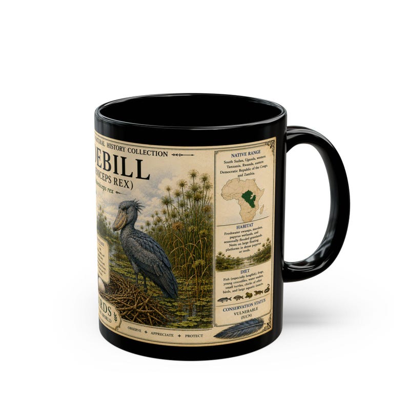 Shoebill Mug 15 oz Black Ceramic Cup with Vintage Natural History Bird Art image 7