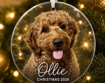 Pet Memorial Ornament Personalized Christmas