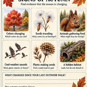 May include: An educational poster titled Signs of Autumn with six illustrated panels showing seasonal changes like colorful trees, dandelion seeds, a squirrel, flying geese, plant seed heads, and a hollow log, plus lines for writing observations.