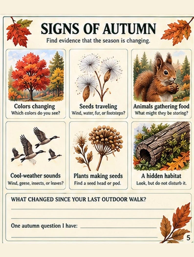 May include: An educational poster titled Signs of Autumn with six illustrated panels showing seasonal changes like colorful trees, dandelion seeds, a squirrel, flying geese, plant seed heads, and a hollow log, plus lines for writing observations.