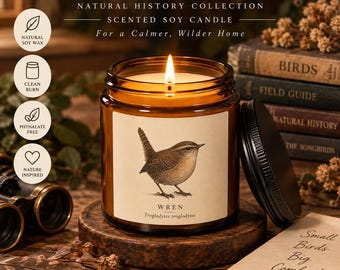 Wren bird natural history dark academia Scented Soy Candle (Multi-Size, Amber Jar)